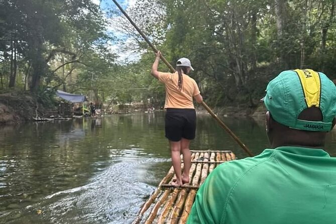 Bird Sanctuary and/or Lethe Bamboo Rafting from Montego Bay - Rocklands Bird Sanctuary: hand-feeding birds and cottage garden calm