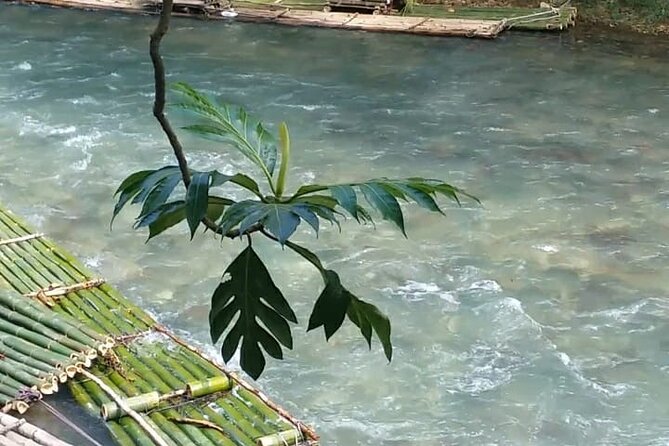 Bird Sanctuary and/or Lethe Bamboo Rafting from Montego Bay - Who this tour is best for