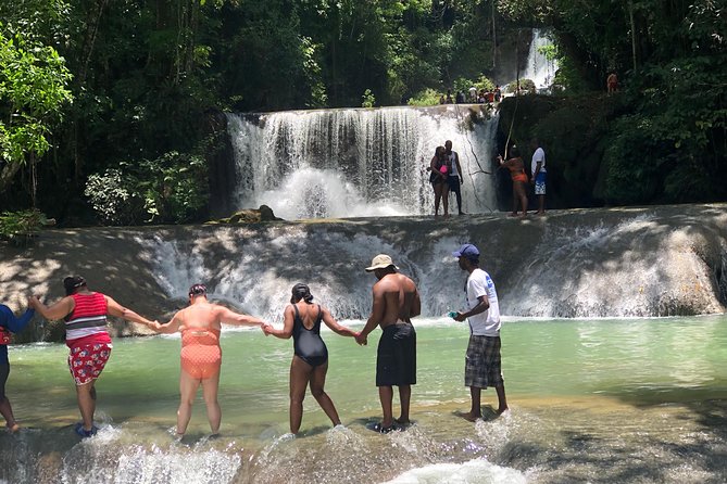 Black River Safari and YS Falls - A half-day that feels calm, not rushed