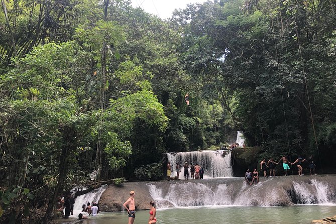 Black River Safari and YS Falls - The cruise to YS Falls: turning wildlife time into swimming time
