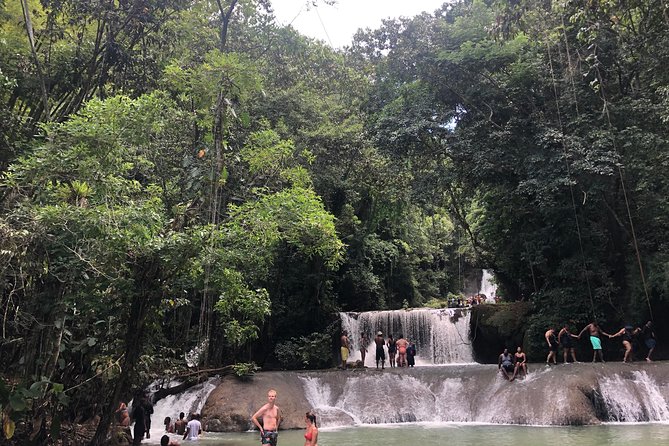 Black River Safari and YS Falls - Price and value for a private group up to 4