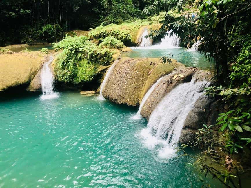 Black River Safari and Ys Falls Tour and Transportation - Wildlife Viewing Without the Rush