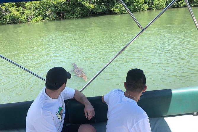 Black River Safari and YS Water Falls - Price and Value: What You Pay Up Front, and What Costs Extra On Arrival