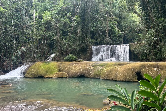 Black River Safari and YS Water Falls - Timing a 5 to 6 Hour Day Without Feeling Rushed