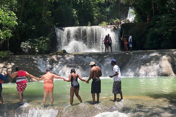 Black River Safari and YS Water Falls - Where This Trip Feels Like the Best Deal