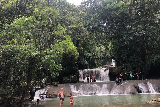 Black River Safari, YS Falls and Appleton Estate - Who should book this Negril combo tour
