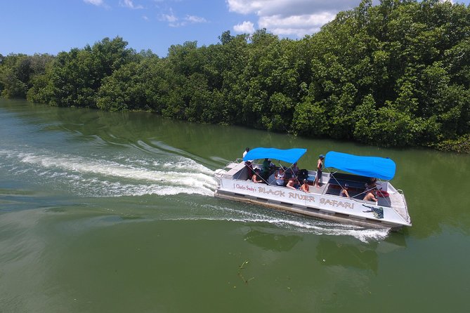 Black River Safari, YS Falls and Appleton Estate - Should you book Black River, YS Falls, and Appleton Estate?