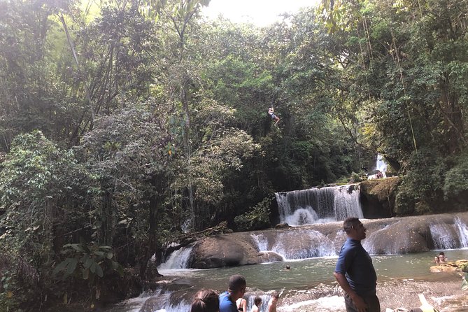 Black River Safari, YS Falls and Appleton Estate - Black River Safari: wildlife time on Jamaica’s longest river