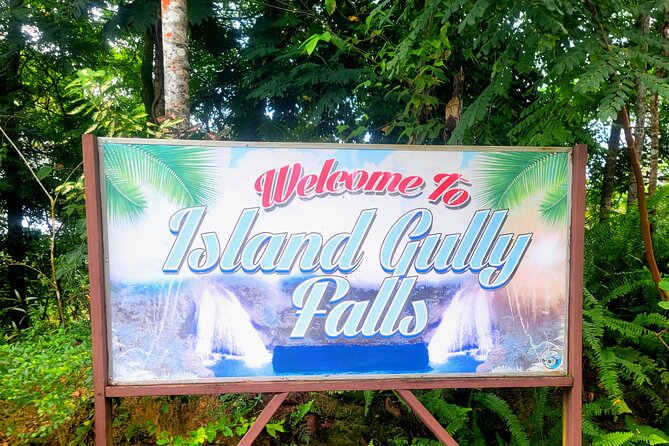 Blue Hole and Dunn's River Falls Ocho rios - Who This Tour Suits Best (And Who Might Want a Different Plan)