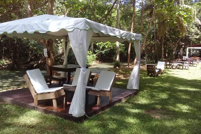 Blue Hole and Dunn’s River Falls Tour with Lunch and Cocktails at Reggae Hill - Price and What $159 Buys You in Real Terms
