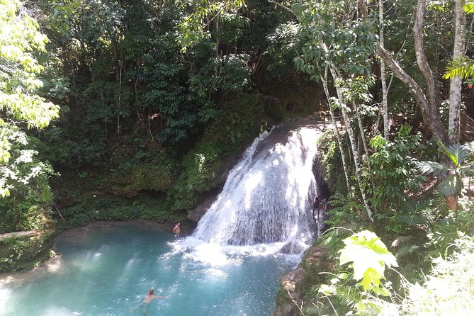 Blue Hole and Dunns River Falls from Falmouth - Blue Hole Waterfalls: Rope Swing, Rock Jump, and Cave Swim Time