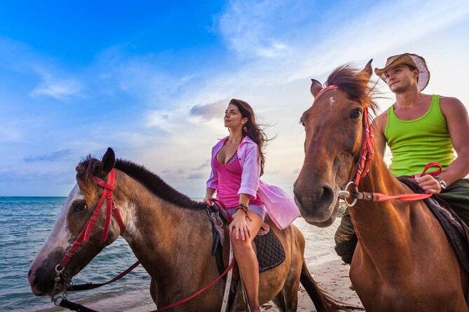 Blue Hole and Horse back riding - Getting there in comfort: air-conditioned ride and a guide who talks