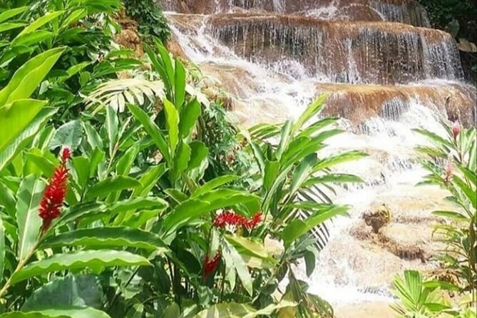 Blue Hole And Konoko Falls Combo Tour From Ocho Rios & Runaway Bay! - Stop 1 Drawbacks: When Weather Changes the Feel