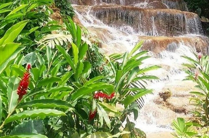 Blue Hole And Konoko Falls Combo Tour From Ocho Rios & Runaway Bay! - Stop 2, Konoko Falls Park: Native Gardens, Wildlife, and Taino Stories
