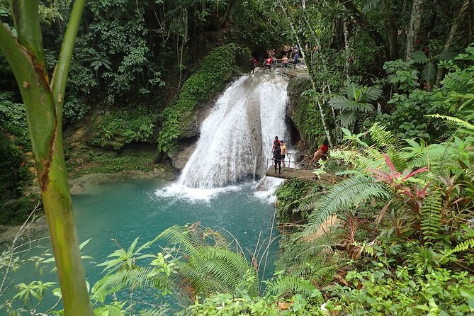 Blue Hole and River Tubing Combo Tour from Ocho Rios - Fern Gully drive and optional craft stop