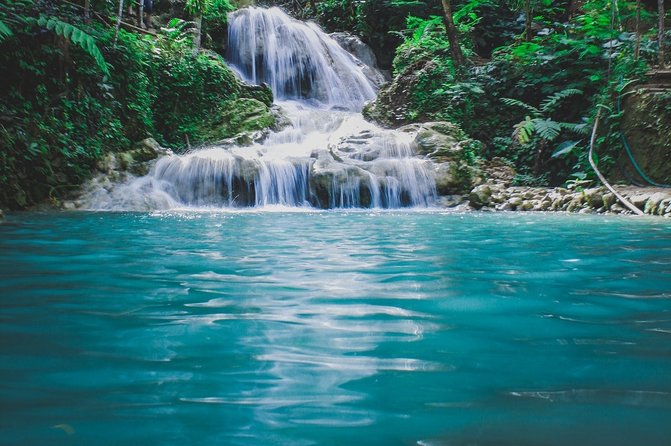 Blue Hole and Secret Falls plus Luminous Lagoon Tour - Glistening Waters Luminous Lagoon: what the glass-bottom boat gives you