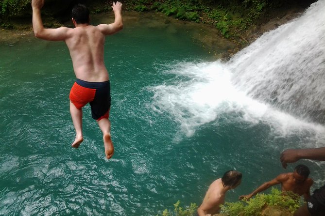 Blue Hole, Dunn's River Falls Luminous Lagoon Excursion From Montego Bay - Quick reasons this trip works