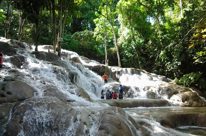 Blue Hole, Dunn's River Falls Luminous Lagoon Excursion From Montego Bay - Transportation, Group Size, and How the Day Feels in Motion