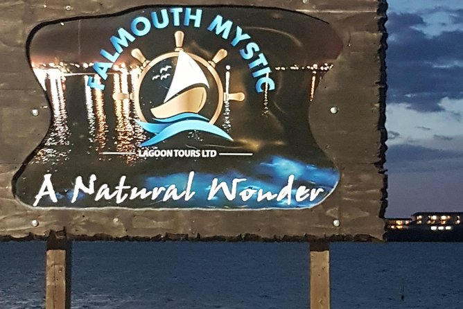 Blue Hole, Dunn's River Falls Luminous Lagoon Excursion From Montego Bay - What to Pack and How to Prepare for Wet, Active Stops