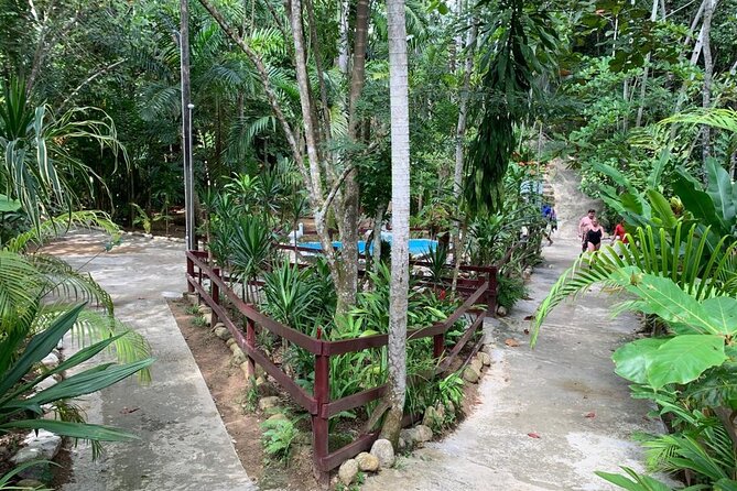 Blue Hole & Dunn's River Falls with Lunch from Negril - Lunch, Fees, and Keeping the Day Simple