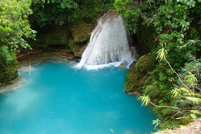 Blue Hole Falls with Horseback Ride Adventure from Montego Bay - Who This Tour Fits Best in Jamaica