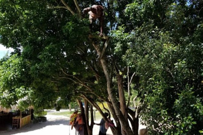 Blue Hole Mineral Spring and Ricks Cafe Private Tour - Ride Comfort and the Role of Your Driver/Guide