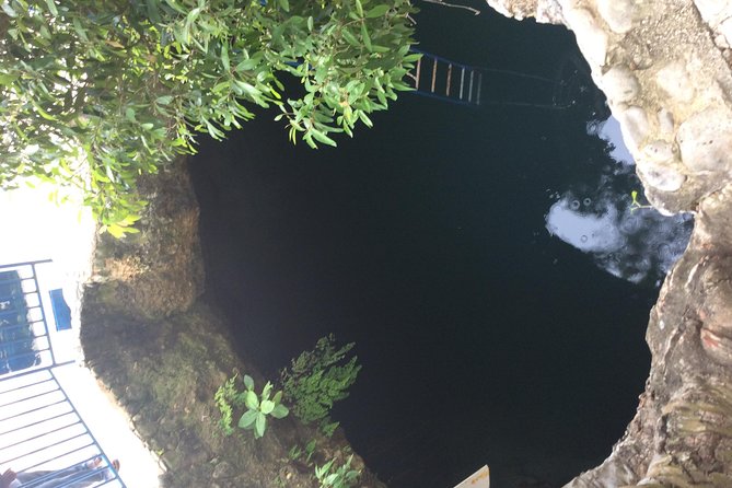 Blue Hole Mineral Springs, Rick's Café, and Shopping Combo Tour - Blue Hole Mineral Springs: the 22 ft jump choice and the mineral water payoff