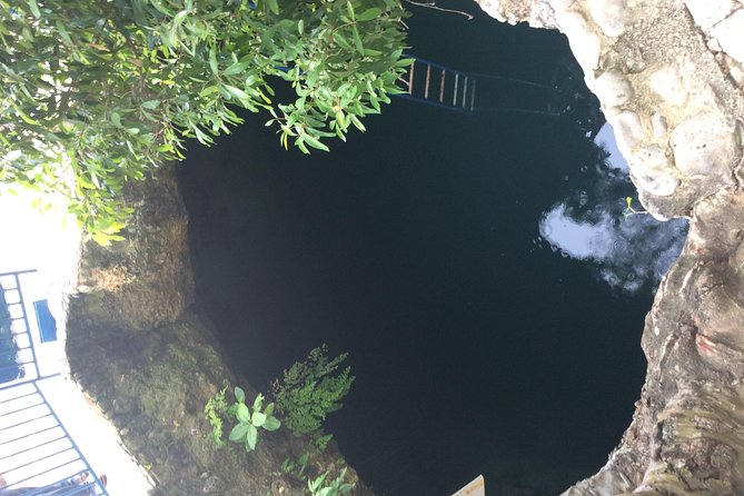 Blue Hole Mineral Springs, Rick's Café, and Shopping Combo Tour - The guides really change the day: Demar, Trey, Bob, Shelton, Lorenzo