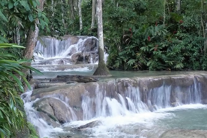 Blue Hole plus Secret Falls and Dunns River Falls Combo from Runaway Bay Hotels - Secret Falls: A Short Jungle Trek You Will Actually Enjoy