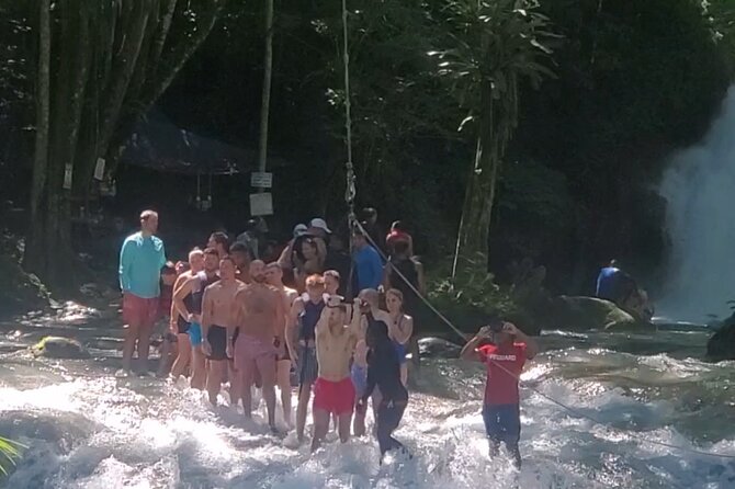 Blue Hole Secret Falls from Falmouth - Your hour at Blue Hole Secret Falls: swim, swing, and jump options