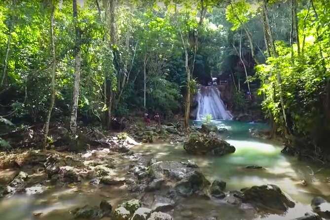 Blue Hole Waterfalls and Rasta Garden from Montego Bay - Calby’s Hidden Beauty River: Rastafari Home Visit and a Garden by Water