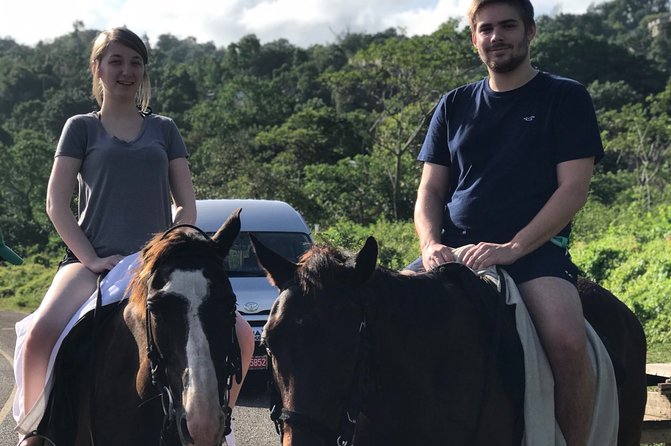 Blue hole waterfalls + horseback riding from Montego bay - Key highlights to look for