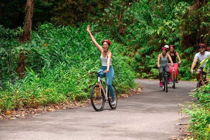 Blue Mountain Bicycle Tour - From Ocho Rios to the Blue Mountains: expect the ride to start early