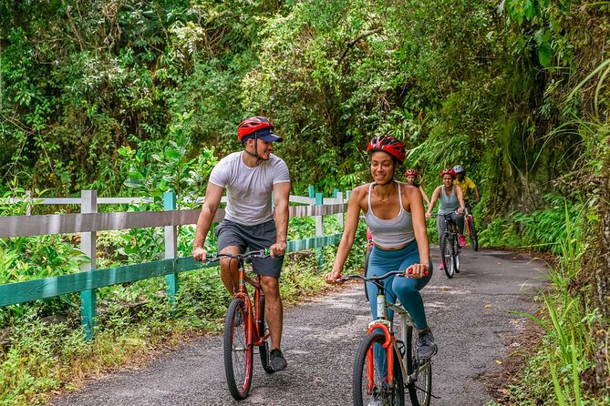 Blue Mountain Bicycle Tour - Who this is best for, and who should think twice