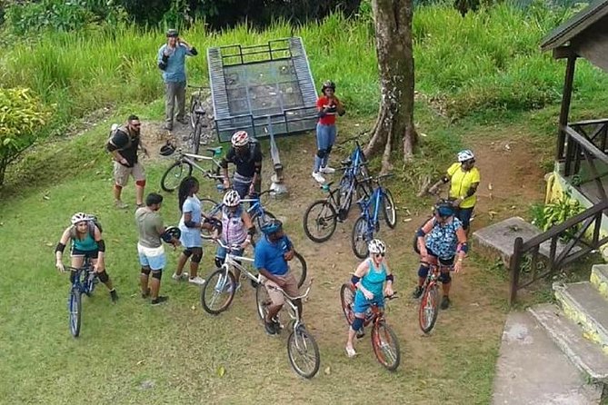 Blue Mountain Bicycle Tour from Montego Bay - Your 6 AM Montego Bay Departure and What Fills the Day