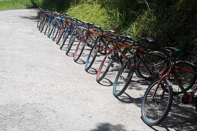 Blue Mountain Bicycle Tour from Montego Bay - What the Included Equipment and Guide Actually Mean for You