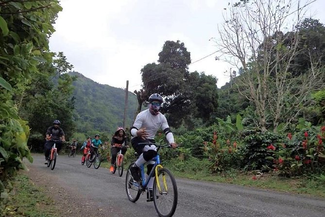 Blue Mountain Bicycle Tour from Montego Bay - Getting to the Blue Mountains: Scenic Drive With a Learning Focus