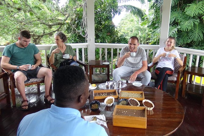 Blue Mountain Coffee and Sightseeing Tour - The drive from Kingston: what you can expect from the ride