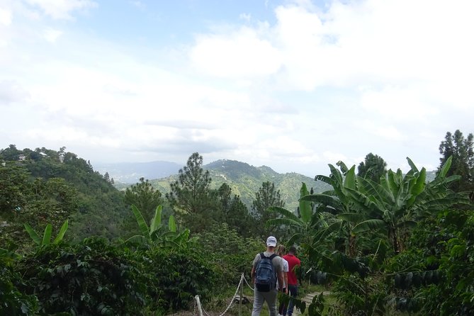 Blue Mountain Coffee and Sightseeing Tour - Newcastle JDF Camp: a quick military-training viewpoint with a Kingston connection