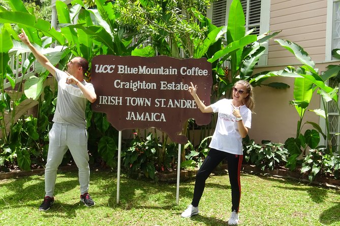 Blue Mountain Coffee and Sightseeing Tour - The guide factor: how commentary improves both coffee and scenery