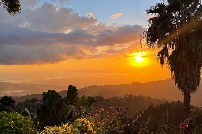 Blue Mountain Coffee, Bob Marley and Art Tour from Montego Bay - What to pack and how to stay comfortable (rain, mosquitoes, shoes)