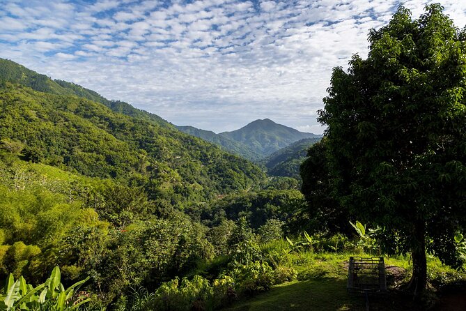 Blue Mountain Highlights - Brunch at Blue Mountain Cafe: Fueling the Day Right