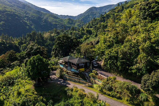 Blue Mountain Highlights - What Makes This Tour Good Value at $122.40