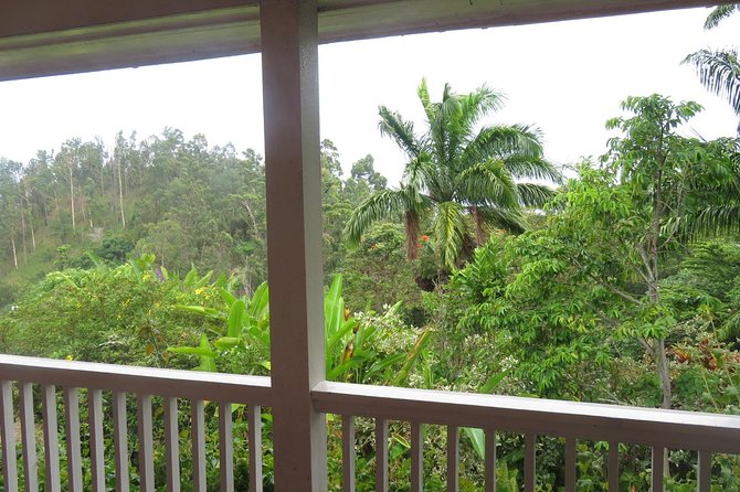 Blue Mountain Path Finder - St Andrew Parish scenic drive, plus a buy-what-you-like lunch stop