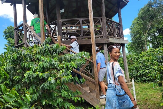 Blue Mountain Path Finder - Value check: what $85 buys you in coffee country
