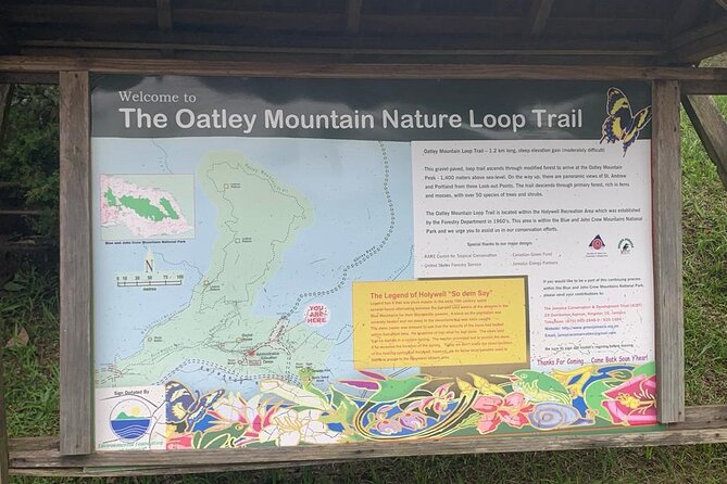 Blue Mountain Peek, and Site Seeing - The role of guide Kirk, and why that matters on a rainforest day