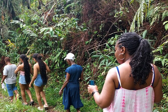Blue Mountain Sight-Seeing & Nature Trail Hike with Private Guide - Key highlights worth planning for