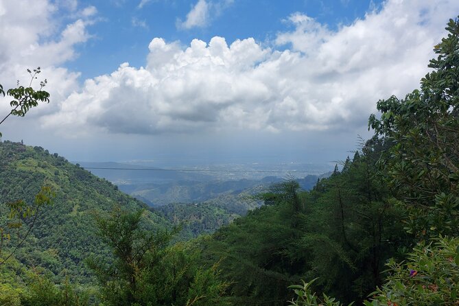 Blue Mountain Sight-Seeing & Nature Trail Hike with Private Guide - What you pay, and why it can be good value