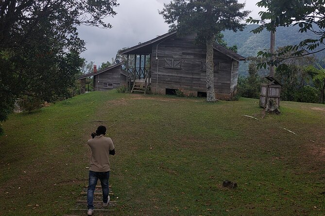Blue Mountain Sight-Seeing & Nature Trail Hike with Private Guide - Practical tips for a smoother Holywell Park day