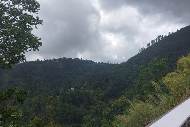 Blue Mountain Sight-Seeing & Nature Trail Hike with Private Guide - Who this private Blue Mountains hike fits best